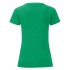 Футболка женская LADIES ICONIC 145
