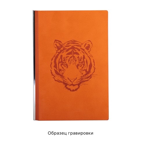 Ежедневник недатированный Аскона, формат А5, оранжевый