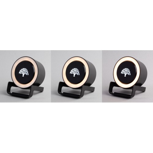 Bluetooth колонка-подставка Smart Loud с беспроводным (10W) зарядным устройством, лампой и подсветкой логотипа, черный