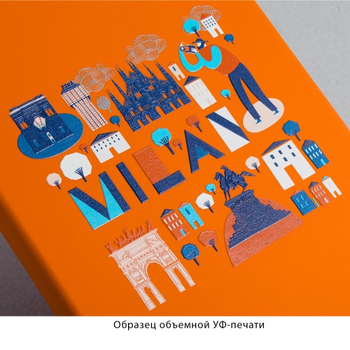 Ежедневник недатированный Милан_Объекты, А5, оранжевый