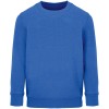 Свитшот детский Columbia Kids, ярко-синий (royal) Свитшот детский Columbia Kids, ярко-синий (royal)
