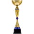 Кубок Awardee, малый, синий