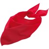 Шейный платок Bandana, красный Шейный платок Bandana, красный