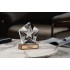 Стела Star Wood, в подарочной коробке