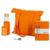 Welcome pack Color Refine Welcome pack Color Refine