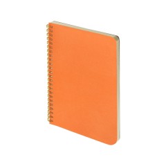Бизнес тетрадь А5 Pragmatic
