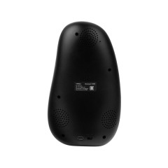 Метеостанция StoneCast 1 WTS