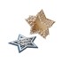 Шкатулка из фанеры в виде звезды Asteris