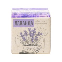 Набор для выращивания Лаванда