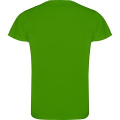 Спортивная футболка CAMIMERA мужская, ПАПАРОТНИКОВЫЙ