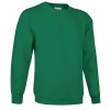 Толстовка DUBLIN, ярко-зеленый Толстовка DUBLIN, ярко-зеленый