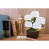 Органайзер настольный Bonsai