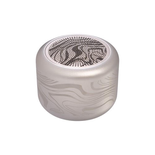 Беспроводная колонка Пассион (Passion) 80dB 600 mAh (Bluetooth 5.4), серебряная