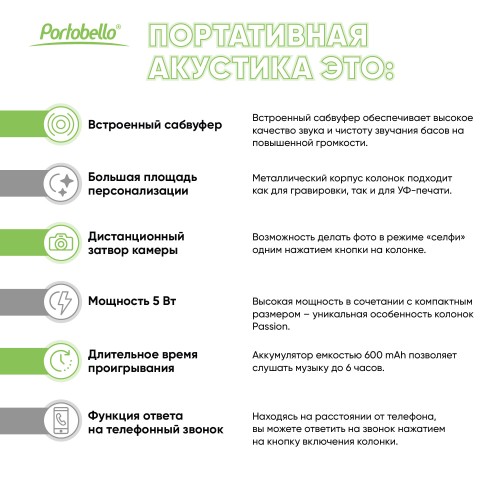 Беспроводная колонка Пассион (Passion) 80dB 600 mAh (Bluetooth 5.4), серебряная