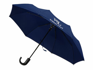 Складной зонт полуавтоматический William Lloyd, цвет синий