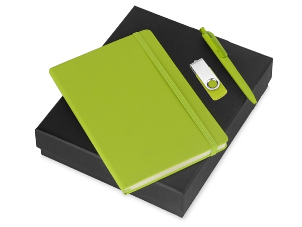 Подарочный набор Vision Pro Plus soft-touch с флешкой, ручкой и блокнотом А5, цвет зеленый