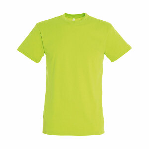 Футболка мужская REGENT 150, цвет светло-зеленый, размер S