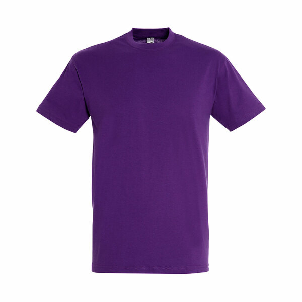 Футболка мужская REGENT 150, цвет фиолетовый, размер S
