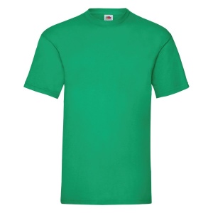 Футболка мужская VALUEWEIGHT T 165, цвет зеленый, размер 2XL