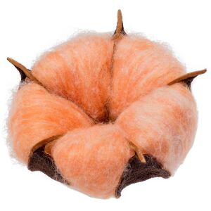 Цветок хлопка Cotton, цвет оранжевый