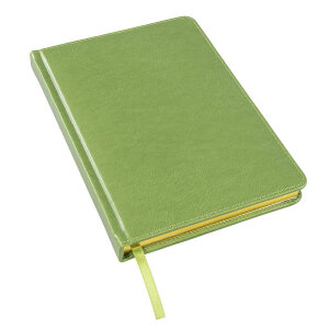 Ежедневник недатированный JOY, формат А5, цвет зеленое яблоко, белый блок, золотой обрез