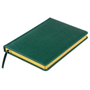 Ежедневник недатированный Joy, формат А5, цвет темно-зеленый, белый блок, золотой обрез