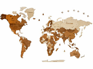 Интерьерная карта мира 