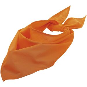 Шейный платок Bandana, цвет оранжевый
