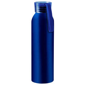 Бутылка для воды VIKING BLUE 650мл.