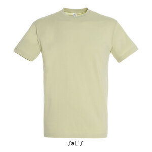 Фуфайка (футболка) REGENT мужская, цвет зеленый шалфей, XXL