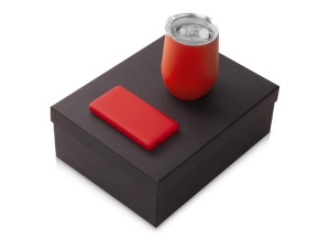 Подарочный набор с термокружкой и повербанком С2, 10000 mAh